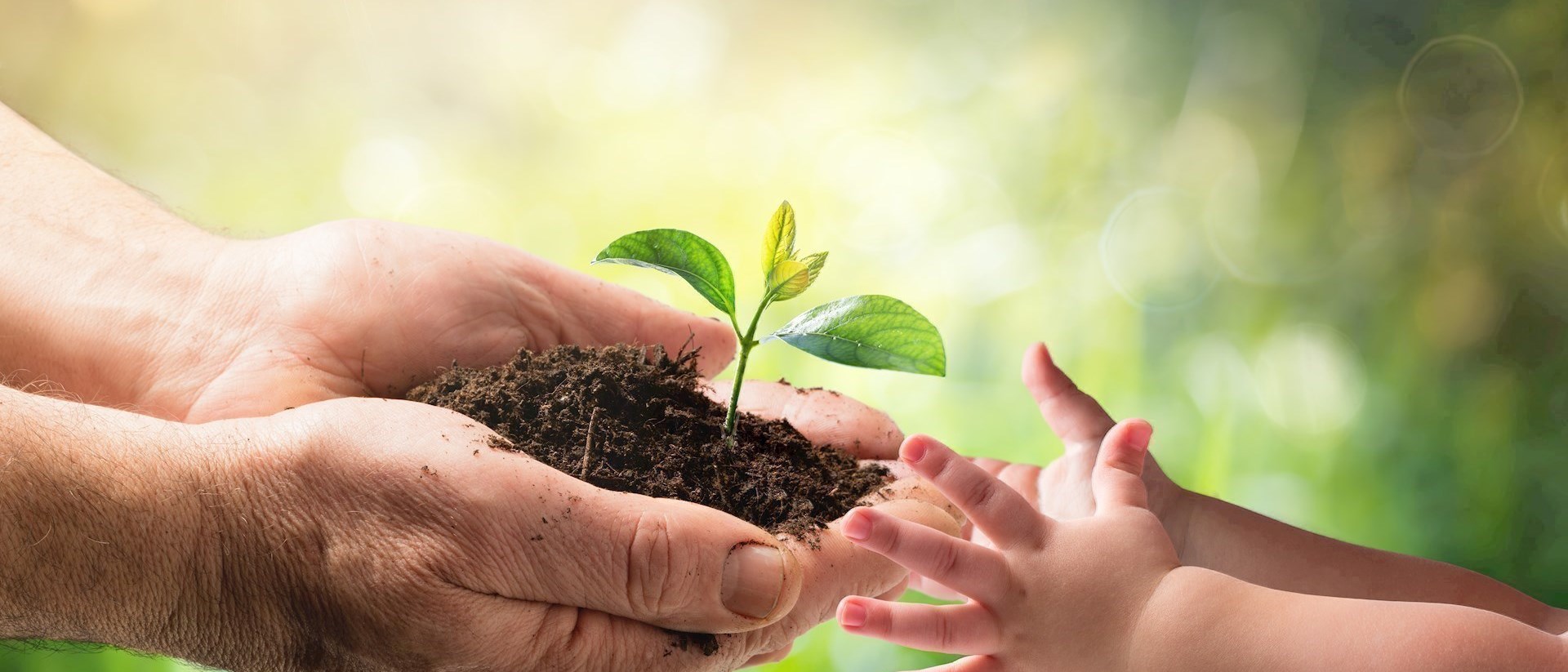 Futuro sustentável com a rede de gás